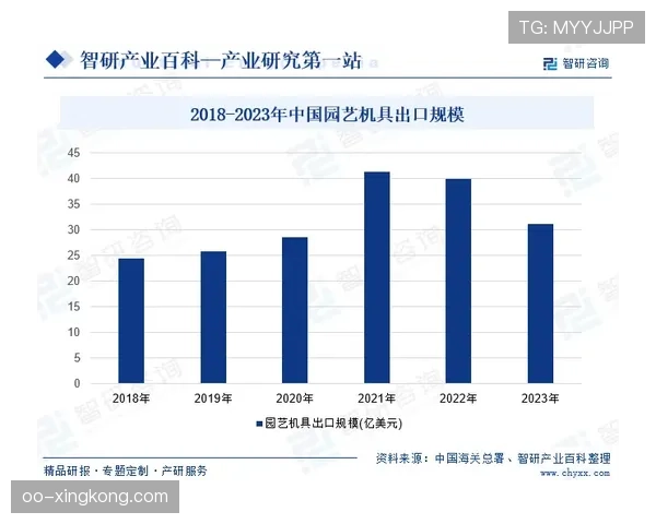 杜埃状态起伏：表现不稳定背后的比赛与个人因素分析